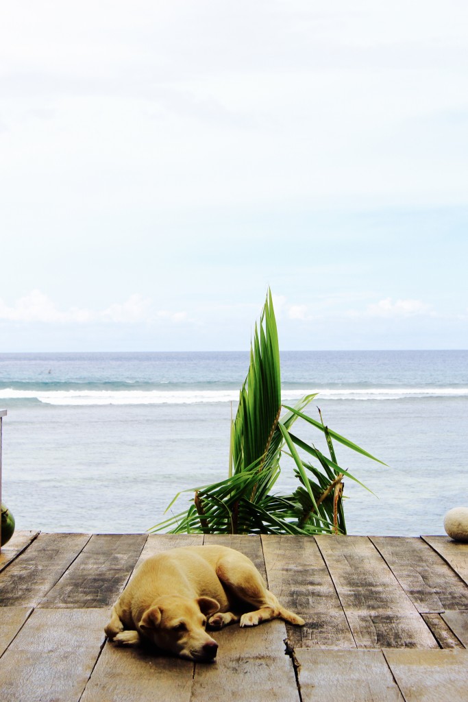 Siargao