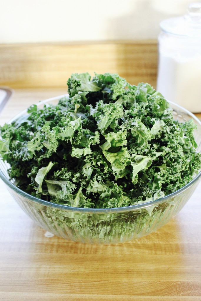 Autumn Kale Salad with Cider Vinaigrette