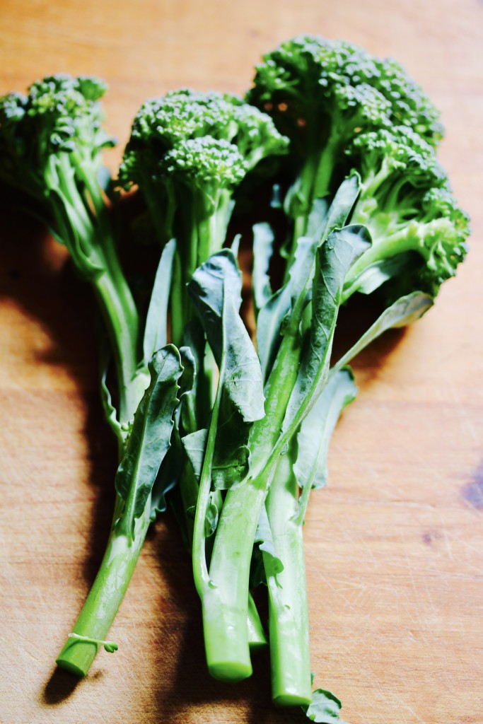 10 Minute Lemon Roasted Broccolini – The Sea Salt
